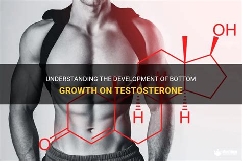 how big can bottom growth be|Bottom Growth and Genital Changes on Testosterone